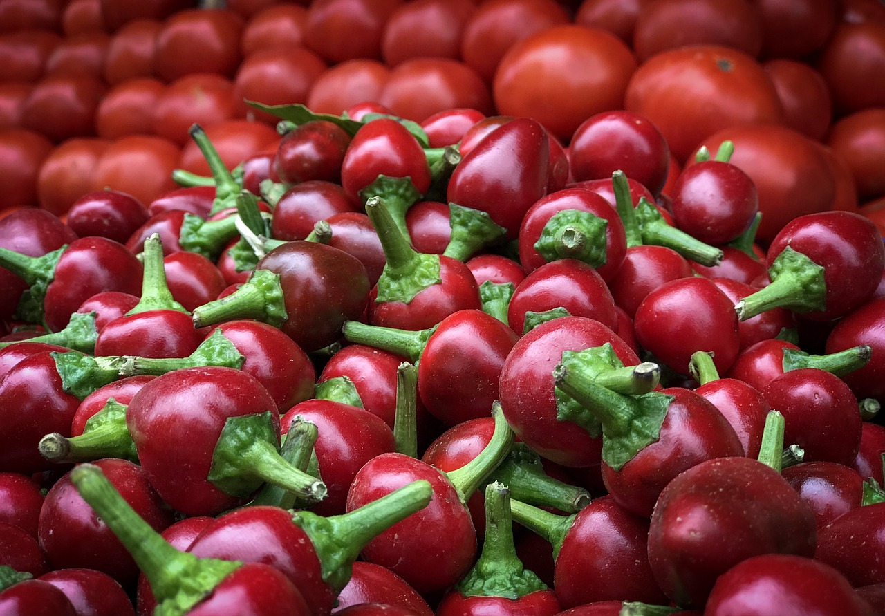 10 Essential Tips for Cooking with Chili Peppers